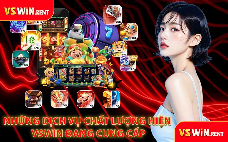 Những dịch vụ chất lượng hiện VSWIN đang cung cấp